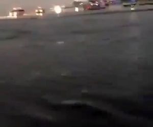 فرودگاه یا استخر 