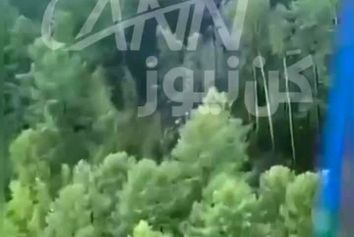 تکمیلی | همه ۴۹ مسافر آنتونوف روسی جان باختند | بقایای هواپیمای مسافربری روسی در منطقه آمور پیدا شد