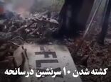 کشته شدن ۱۰ سرنشین در سانحه سقوط هواپیمای سبک در باهاما