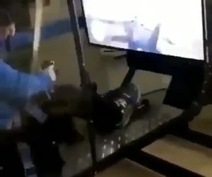 به این میگن شبیه‌ساز 