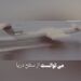 بازخوانی داستان «هیولای دریای خزر»؛ پرنده غول‌آسایی که زمین‌گیر شد