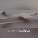 بازخوانی داستان «هیولای دریای خزر»؛ پرنده غول‌آسایی که زمین‌گیر شد