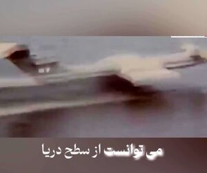 بازخوانی داستان «هیولای دریای خزر»؛ پرنده غول‌آسایی که زمین‌گیر شد