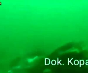 پیدا شدن قطعاتی از بویینگ ۷۳۷ شرکت هواپیمایی SJ در عمق ۲۳ متری دریای جاوا 
