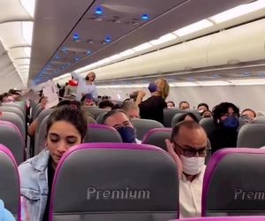 حمله پشه‌ها به کابین هواپیما