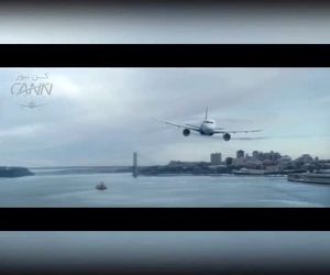 مشکلی به نام برخورد با پرندگان در هوانوردی