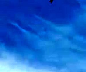 ویدیویی از مانور جذاب جنگنده که به یک سانحه ختم شد