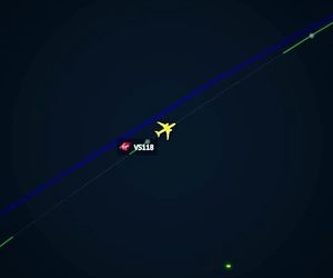 نجات معجزه‌آسا در آسمان؛ خدمه پرواز جان مسافر دچار ایست قلبی را نجات دادند
