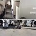 برای نخستین بار در فرودگاه حضرت امام خمینی(ره) انجام A-CHECK هواپیمای ایرباس A330-200 هما