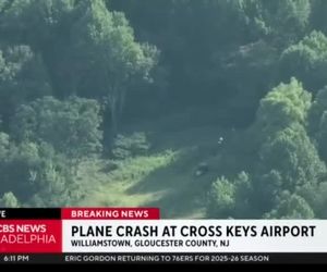 سقوط هواپیما در آمریکا ۱۵ مجروح برجای گذاشت