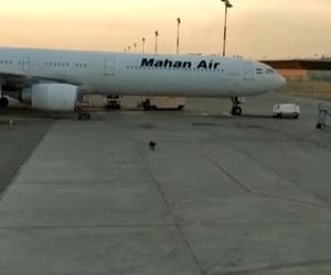 وجود یک سگ ولگرد در ایرساید فرودگاه امام خمینی (ره)