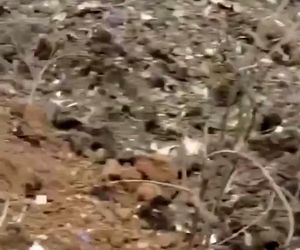 ویدیویی دیگر از محل سقوط بویینگ ۷۳۷ چاینا ایسترن

