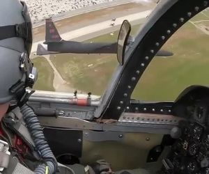 پرواز در کنار خانم اژدها 