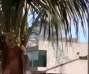 مهارت یا سرخوشی ؟