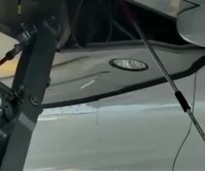 تلاش برای به دلم انداختن حیوان پیدا شده در محفظه ارابه‌های فرود