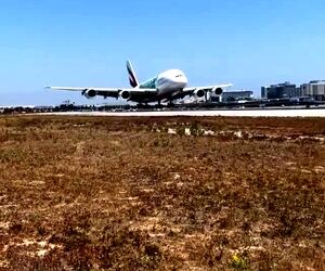 فرود A380 از نمایی دیدنی