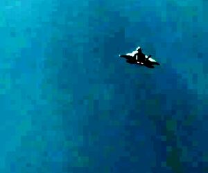 پرواز F22 با ارتفاع کم از نمایی دیدنی