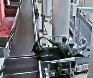 بازدید ناخواسته از بخش بارها 