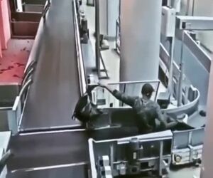 بازدید ناخواسته از بخش بارها 