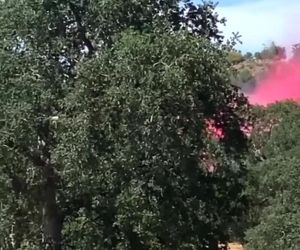 شیرجه برای اطفا حریق