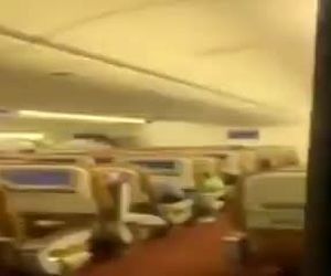 وجود خفاش در هواپیما