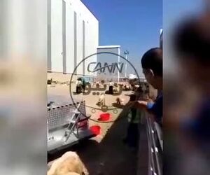۱۸۰۰ راس گوسفند در محوطه فرودگاه