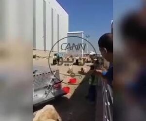 ۱۸۰۰ راس گوسفند در محوطه فرودگاه