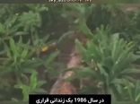 نگاهی به مخوفترین و خطرناکترین نقطه در کره زمین از پنجره هواپیما
