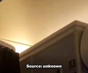 یک موش در کابین هواپیمای KLM بیش از ۲۵۰ مسافر را سرگردان کرد