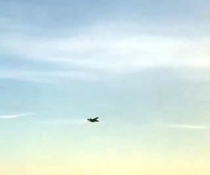 شوق دیدن هواپیما 