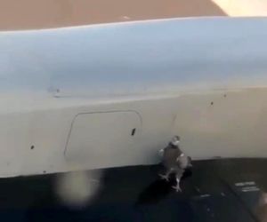 وجود یک پرنده روی پوسته موتور در حین تیک‌آف 