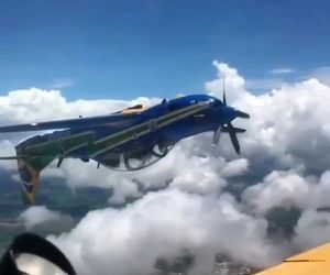 شجاعت، حماقت یا مهارت؟
