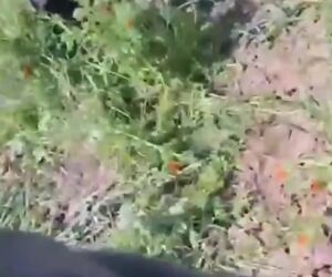 فیلم| نمایی از سقوط هواپیمای آموزشی در قزوین