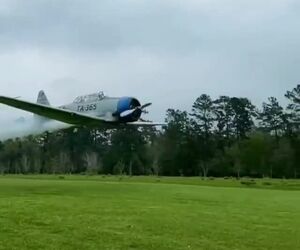 اسلوموشن پرواز low pass