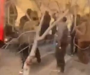 تصاویر دیگری از محل سانحه سقوط جنگنده در تبریز 
