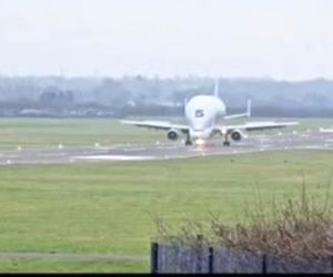 آخرین پرواز «نهنگ پرنده»