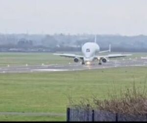 آخرین پرواز «نهنگ پرنده»